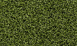 Искусственная ландшафтная трава JUTAgrass
